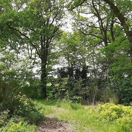 Siebeneichen Appartamento