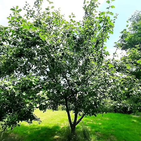 Siebeneichen Appartamento