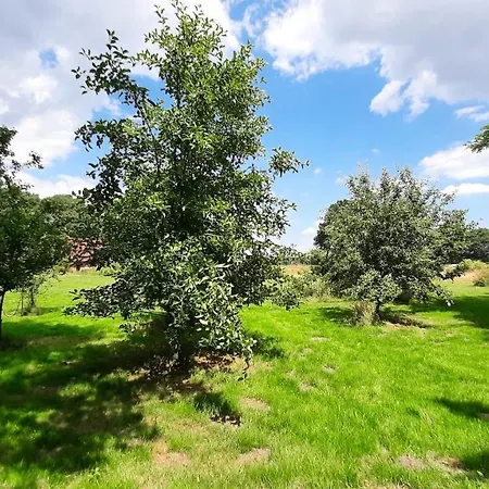 Siebeneichen Appartamento *