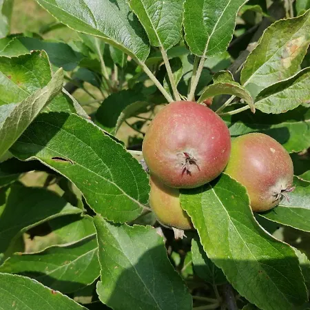 Siebeneichen Appartamento Wardenburg