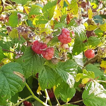 Appartamento Siebeneichen Wardenburg