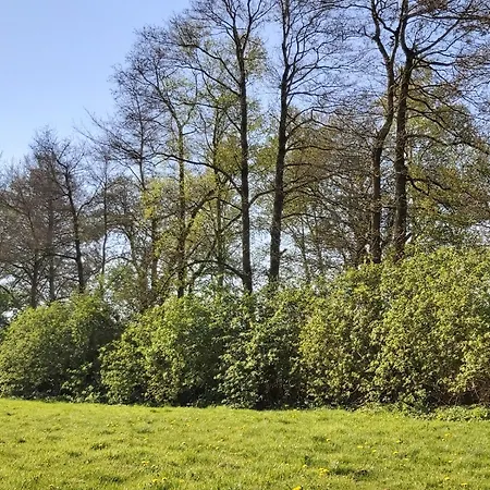 Siebeneichen *
