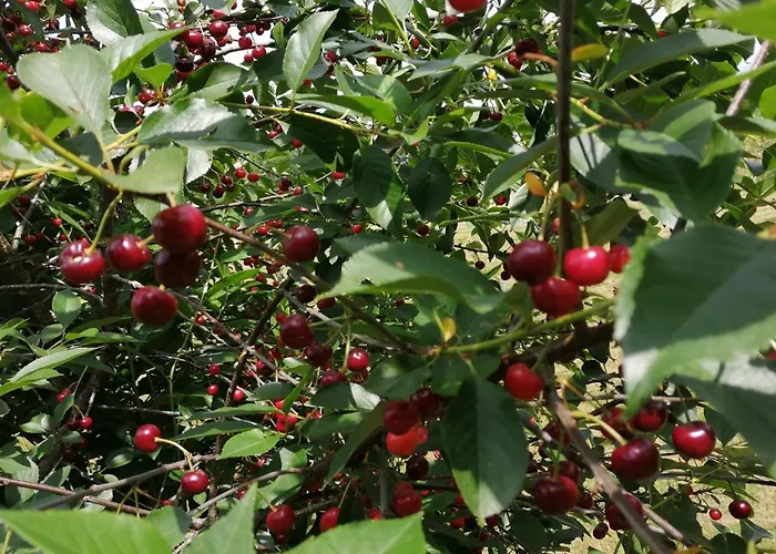 Siebeneichen 아파트
